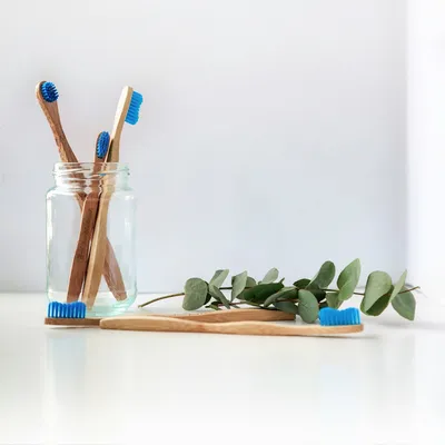 The Ultimate Guide to Sustainable Homeware ProductsIllustration